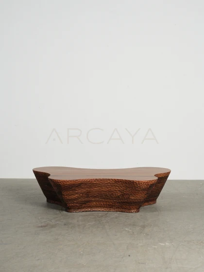Fawn Wells Coffee Table — interior view 09