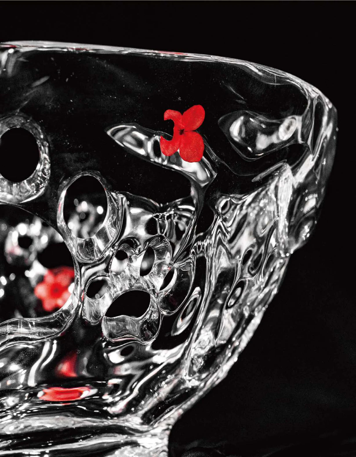Cat Fruit Wonderland — Sculptural Objects — A102 — image 2