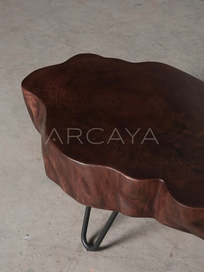 Glen Wells Coffee Table — interior view 07