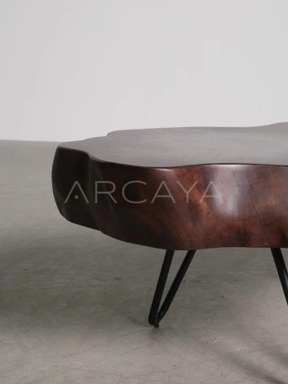 Glen Wells Coffee Table — interior view 06